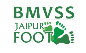 BMVSS logo